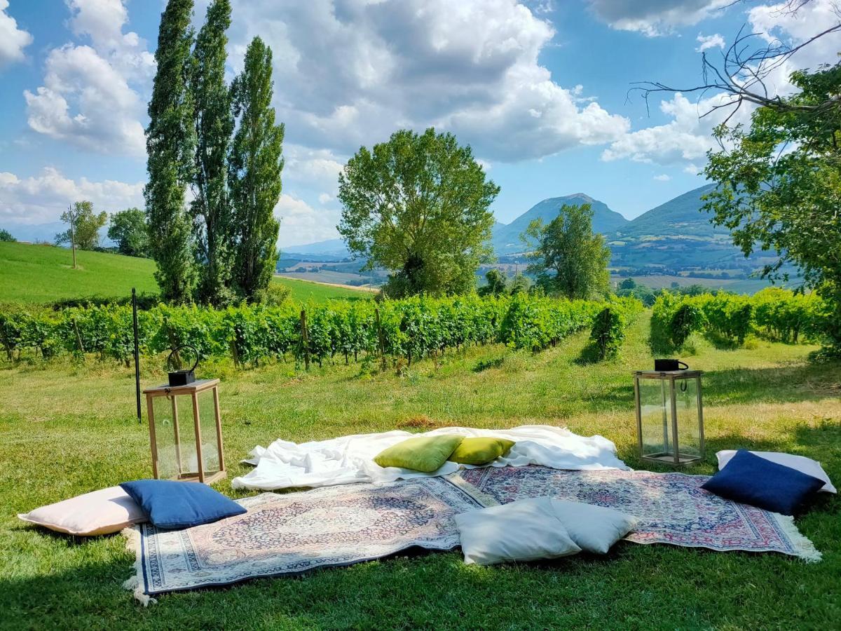 Villa Collepere Country House มาเตลิกา ภายนอก รูปภาพ